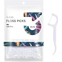 Dental Floss-100 Pcs Floss Dental Palillo de dientes- palillo de dientes- púas de dientes- púas de hilo dental- limpieza…